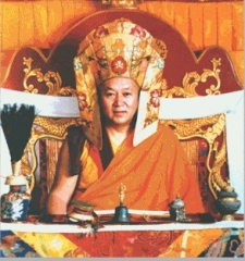 His Holiness the Drikung Kyabgon Chetsang